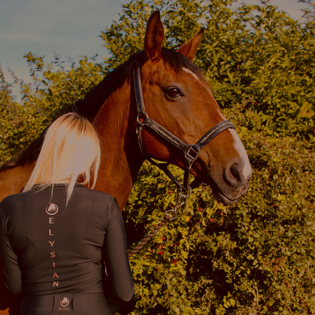 Luxe Baselayer